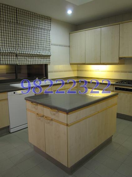 Four Seasons Park (D10), Condominium #114783112
